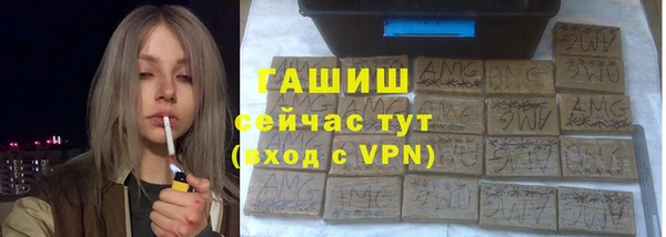 хмурый Тавда