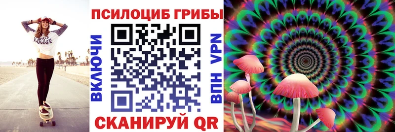 Псилоцибиновые грибы Psilocybe  купить   Алапаевск 