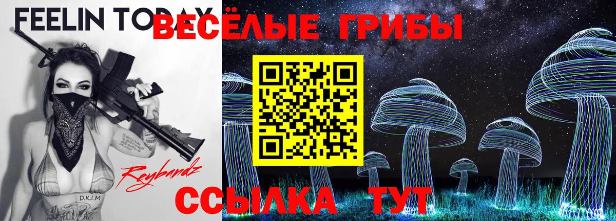 Псилоцибиновые грибы прущие грибы Алапаевск