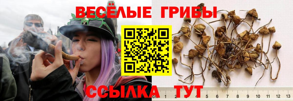 Галлюциногенные грибы мухоморы  Вход с VPN  наркотики  Алапаевск  Галлюциногенные грибы GOLDEN TEACHER 